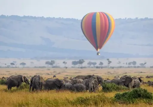 3 Day Expedition Balloon Safari Masai Mara, Kenya