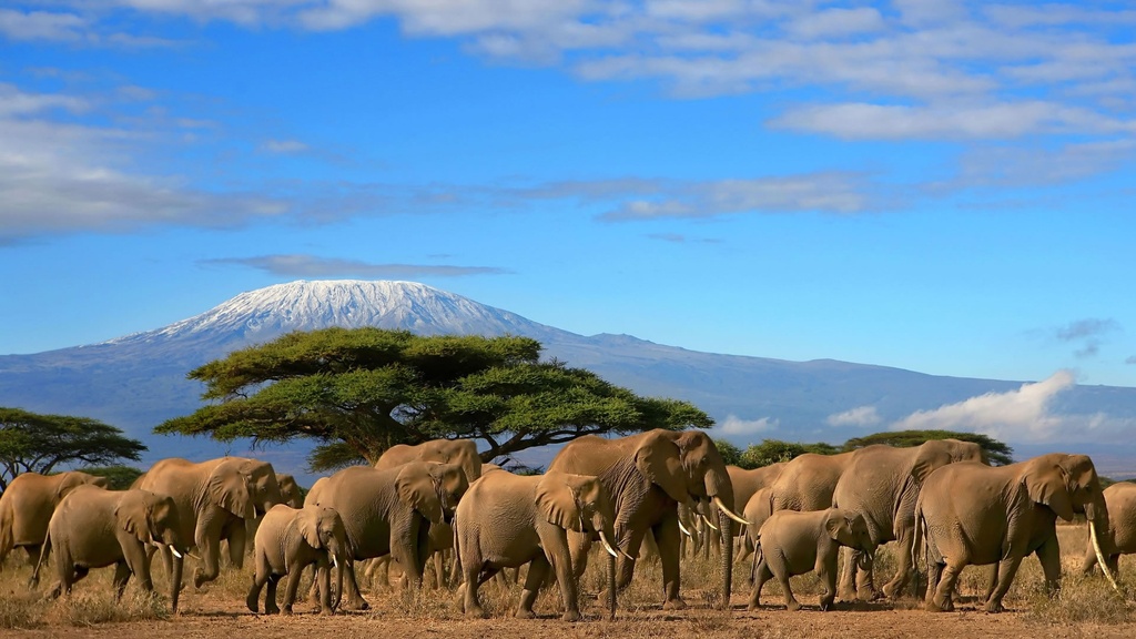 Amboseli National Park - Day Trip