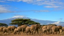 Amboseli National Park - Day Trip