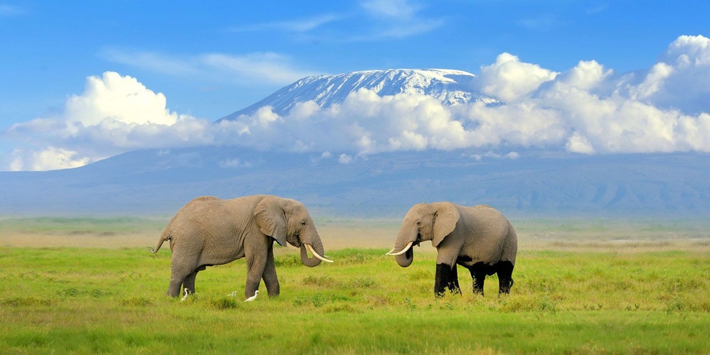 Amboseli National Park - Day Trip