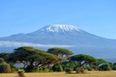 Amboseli National Park - Day Trip
