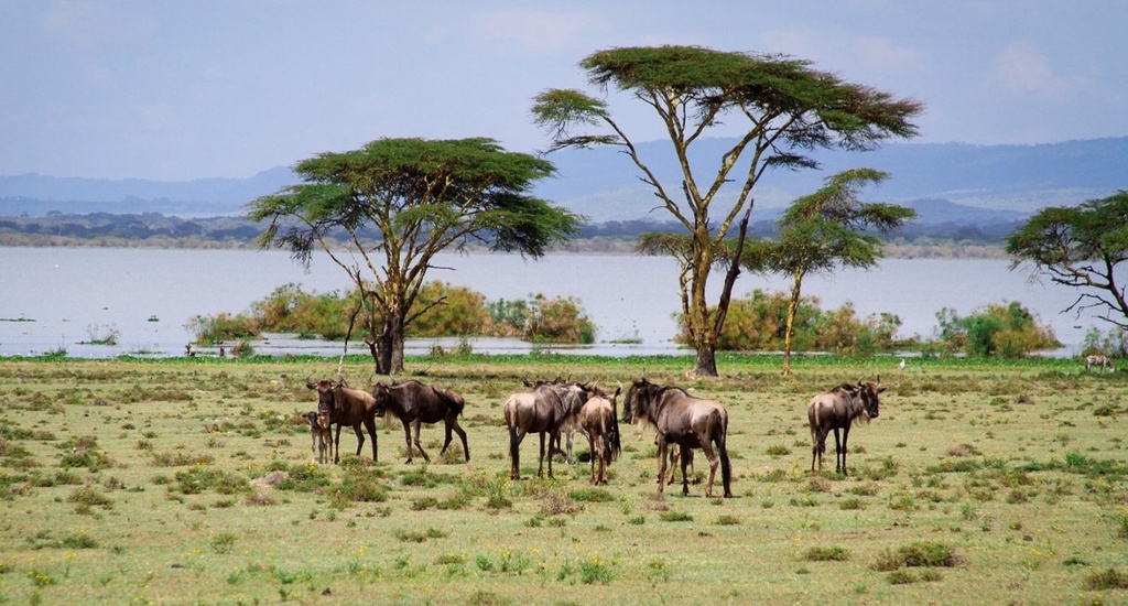 Crescent Island on Lake Naivasha