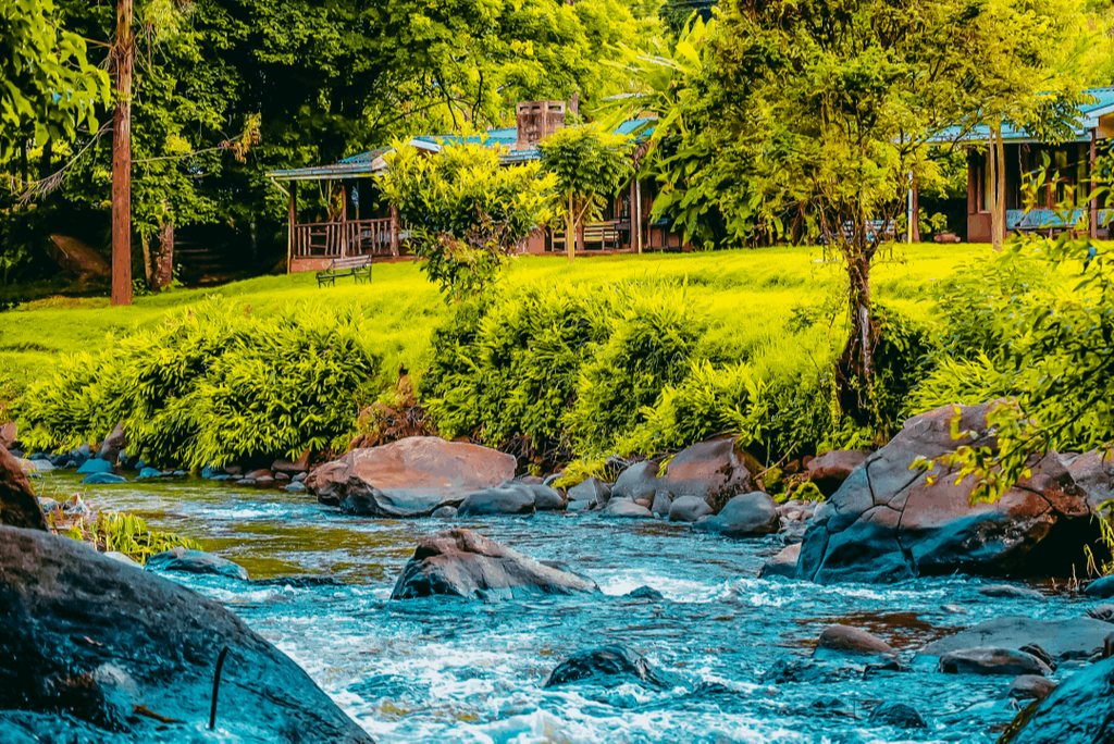 Aberdare Cottages & Fishing Lodge