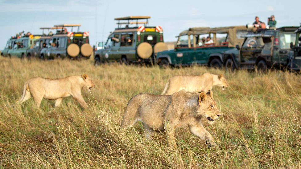 3 Day Maasai Mara Safari - Group Joining