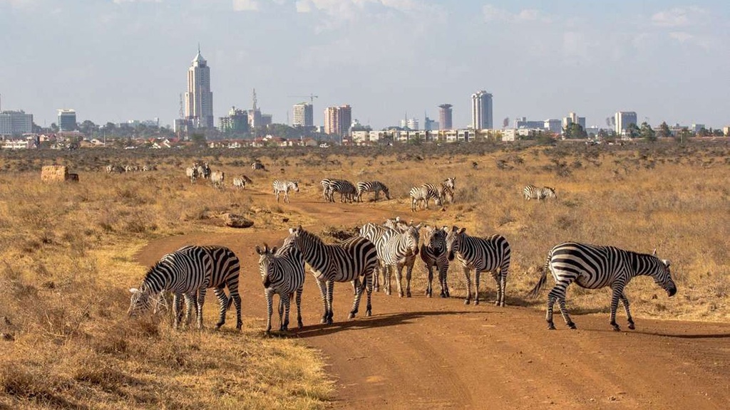 Nairobi National Park Safari - Half Day