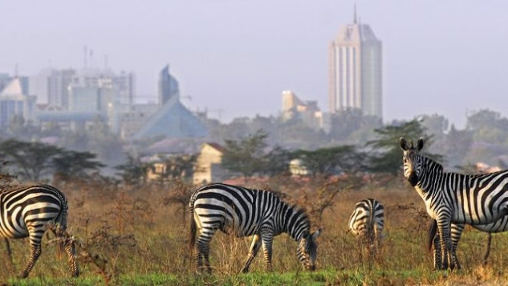 Nairobi National Park Safari - Half Day