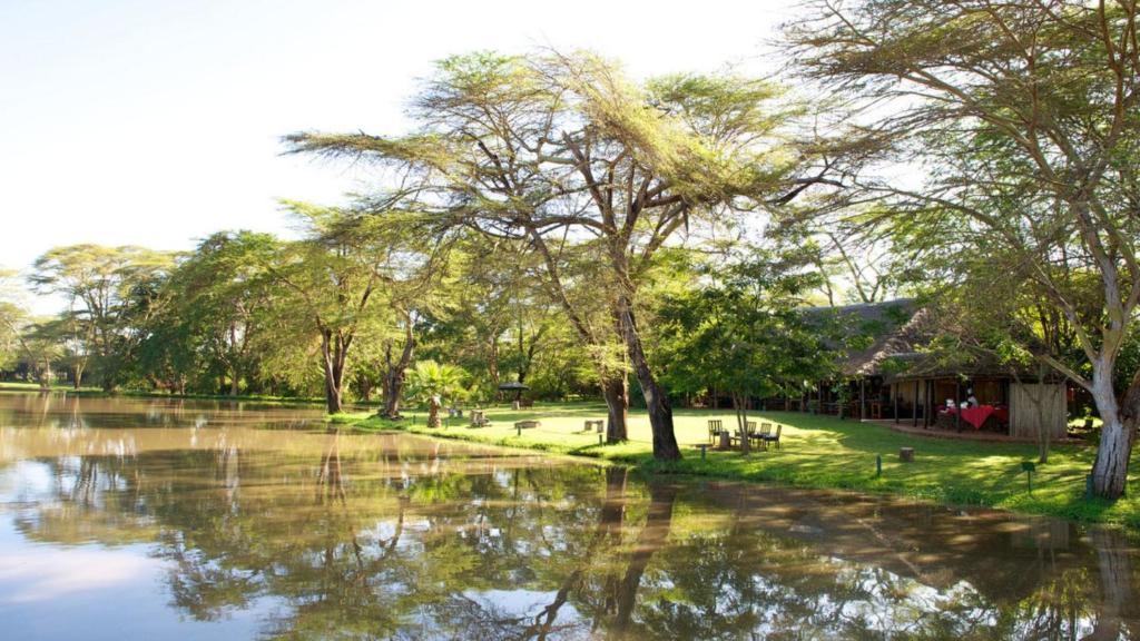 Voyager Ziwani Camp