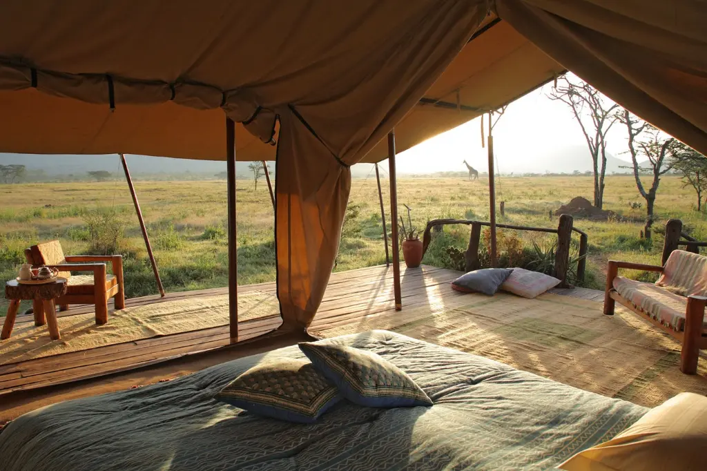 enasoit-camp-laikipia-kenya-timbuktu-travel.webp