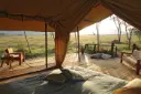 enasoit-camp-laikipia-kenya-timbuktu-travel.webp
