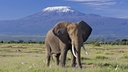 Amboseli National Park - Day Trip