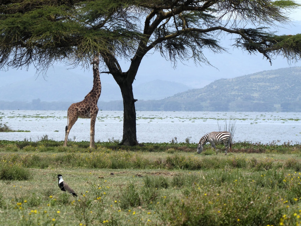 Crescent Island on Lake Naivasha
