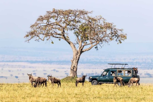6-Day Out of Africa: Explore Kenya's Majestic Wildlife and Landscapes